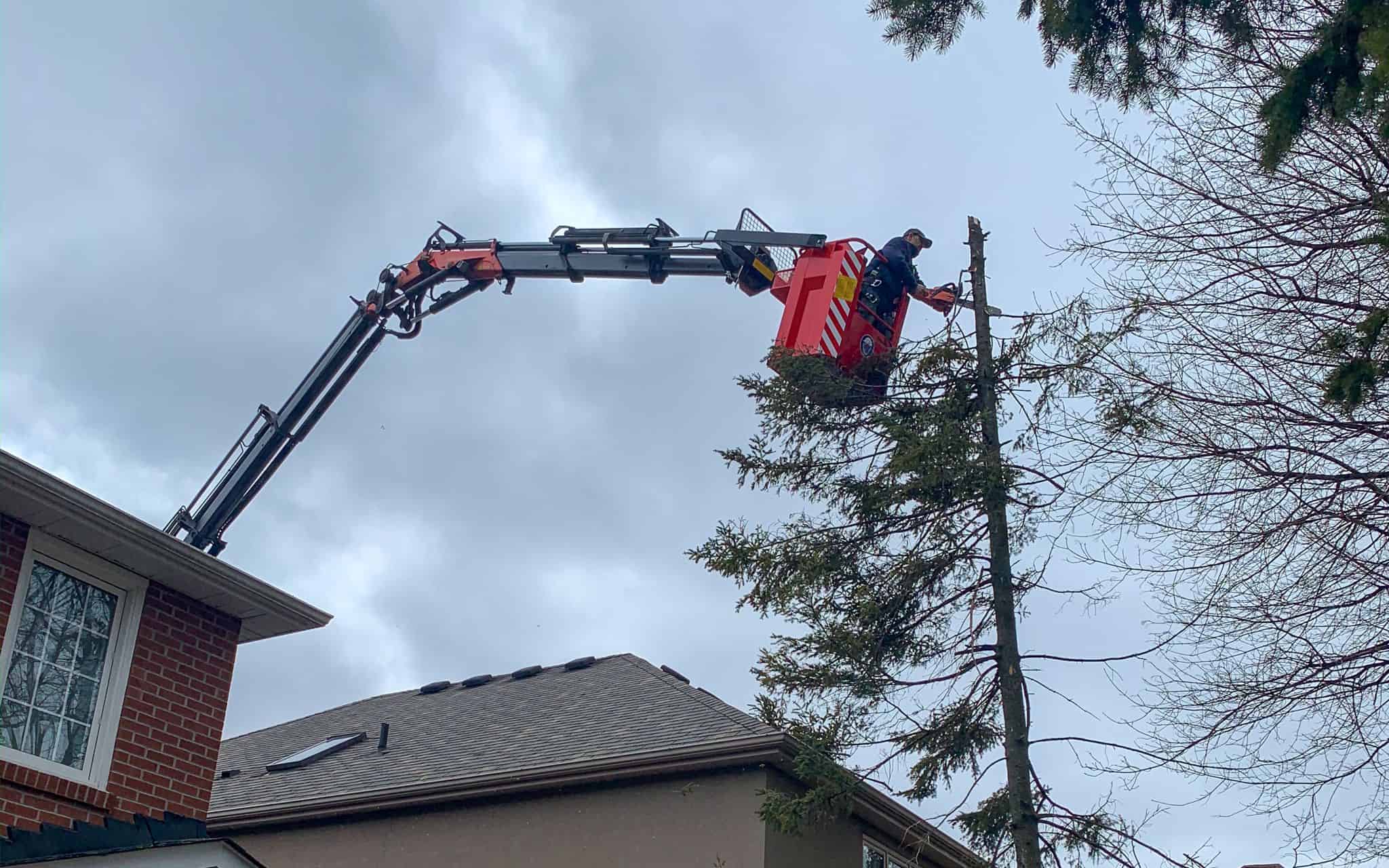 Crane Man Basket Work Braymore Crane Rental